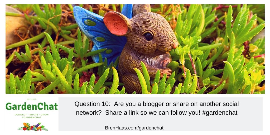 Question 10:  Are you a blogger or share on another social network?  Share a link so we can follow you! #gardenchat