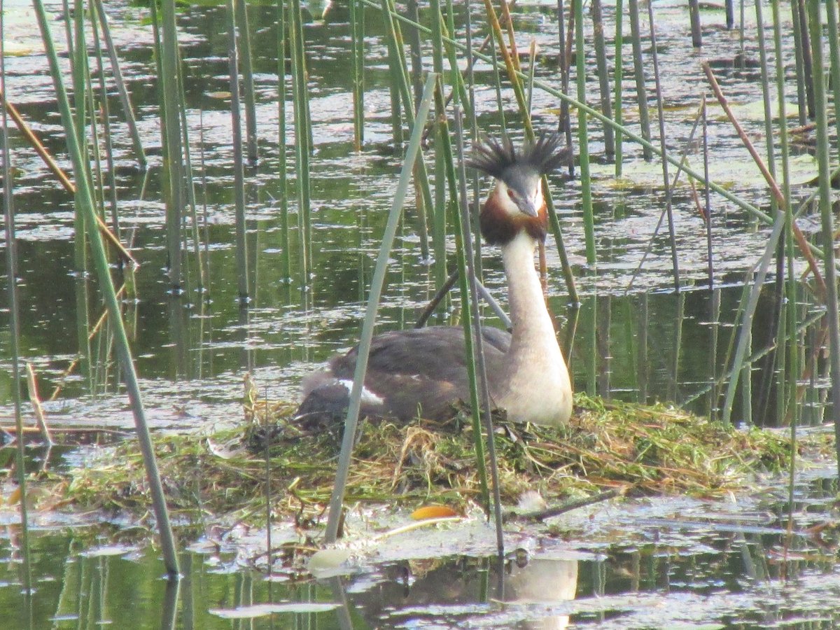 All things nice... tweet media