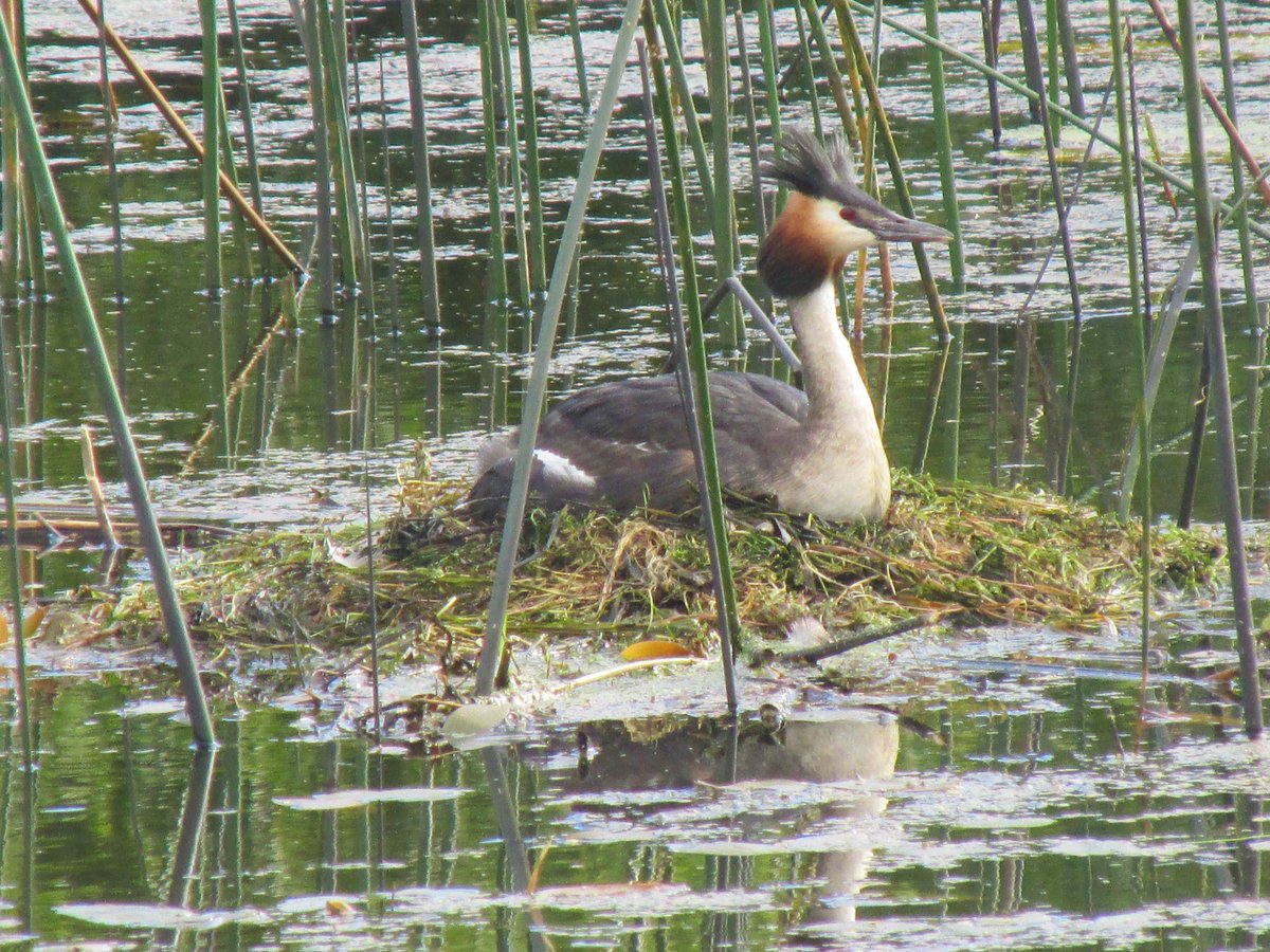 All things nice... tweet media