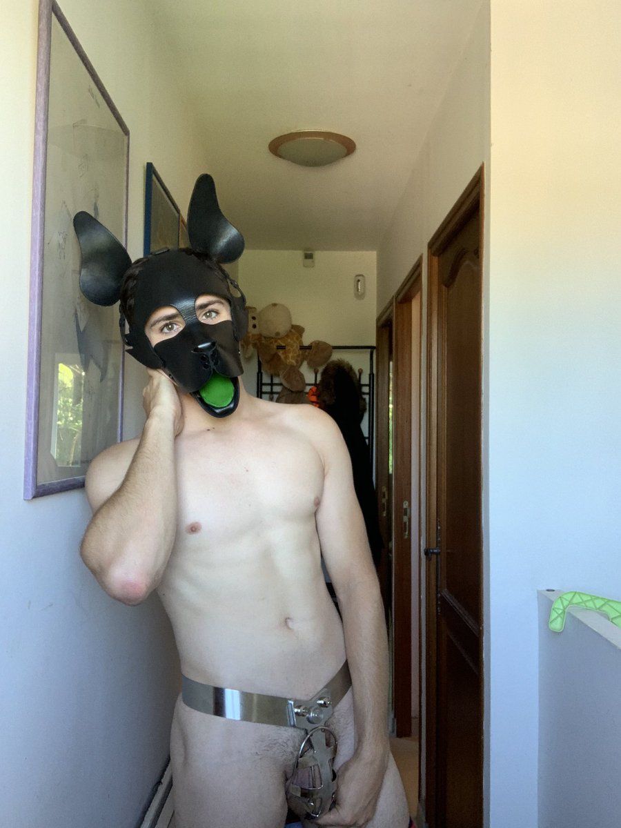 PupTyko's tweet photo. My new chastity device made by @Behindbarzbelts  has arrived. 
It’s the first time who I can’t remove my cock from a chastity device without the key. This feeling is so goooood 😋
How does it look on me ? https://t.co/5F0xqJ6t7e