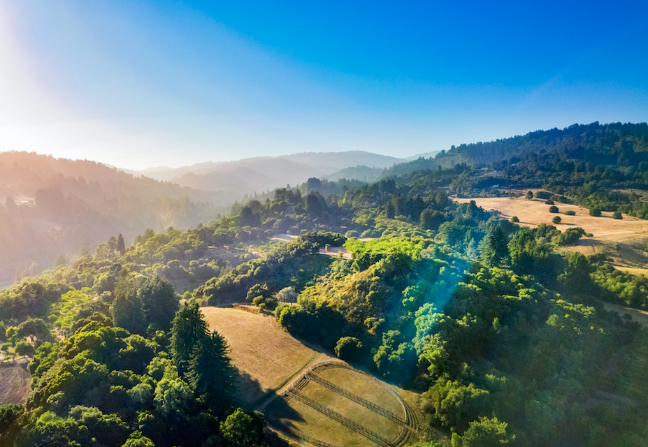 Luxury Auction® SALE PENDING in Corralitos, CA! Congrats to the new Rancho de los Corralitos owners! 100,482 page views &amp; 74 formal inquiries made for a very exciting luxury auction® campaign. Stay tuned for upcoming opportunities!