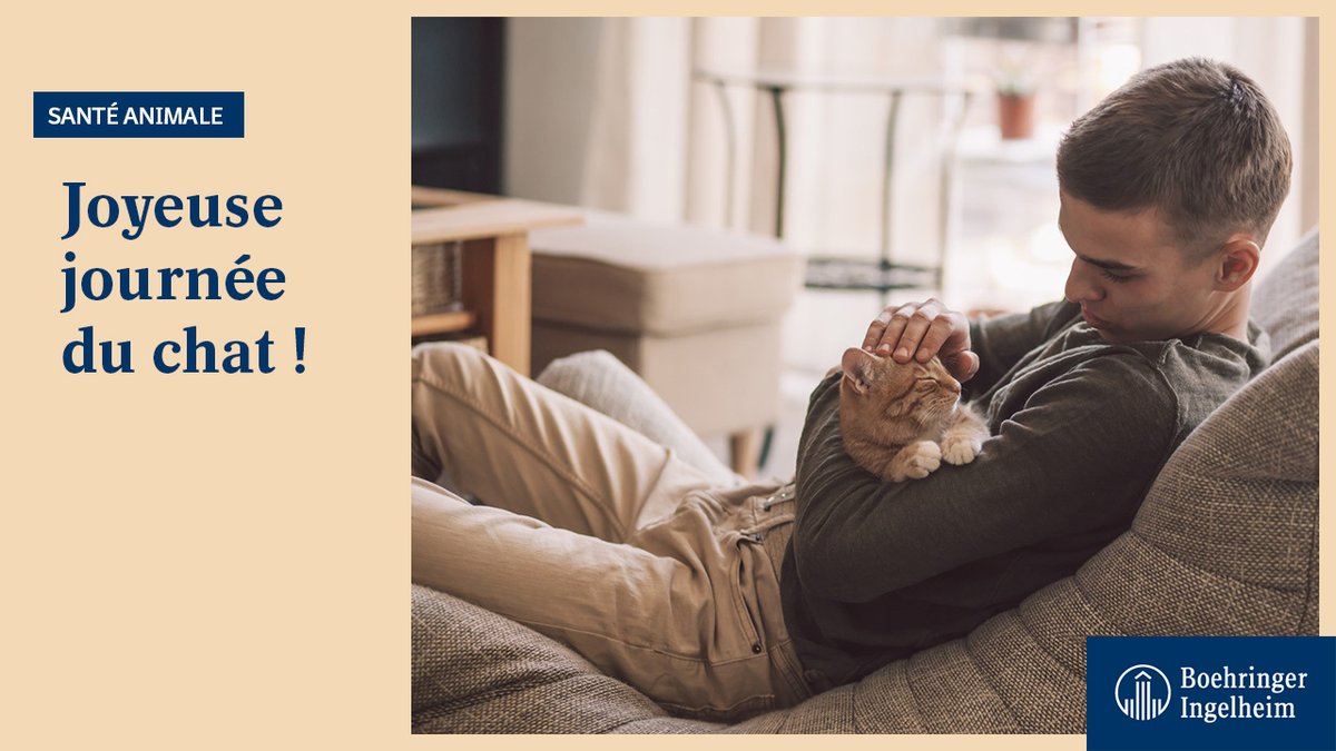 BoehringerFR's tweet photo. [#JournéeInternationaleDuChat 😺] 
Parce que votre chat fait partie de votre famille, prenez en soin et demandez conseil à votre #vétérinaire pour prévenir d'éventuelles maladies ou infections.
➡️Le protéger, c'est aussi préserver votre santé !
#OneHealth #Hommeanimal https://t.co/9ZhhccpLCS