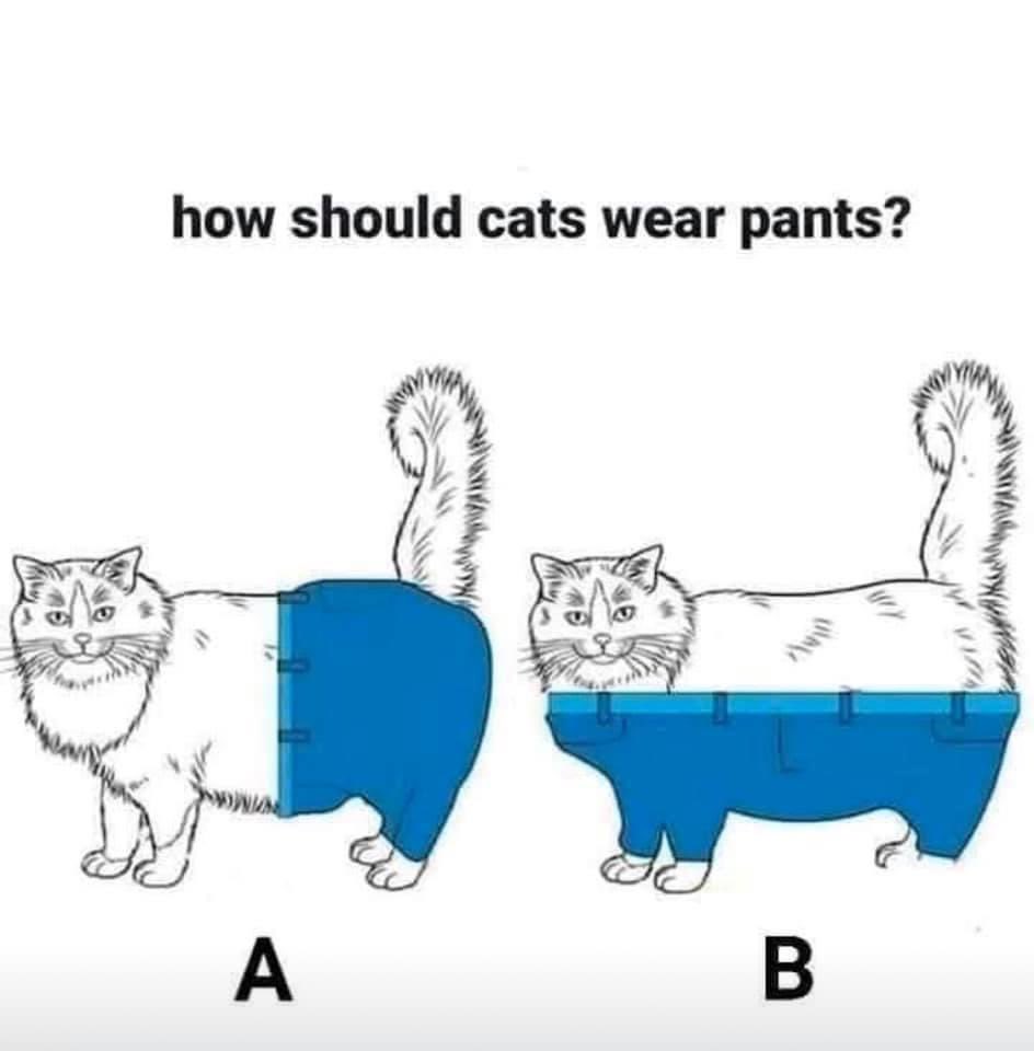 The O.F.I. Monday! radio show 📻 tweet media