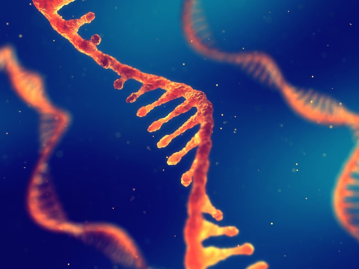 Southern California Genetic Counselors tweet media