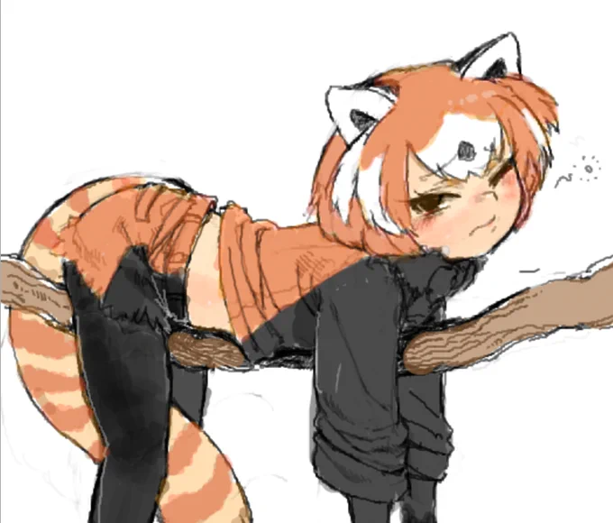 nemumi 