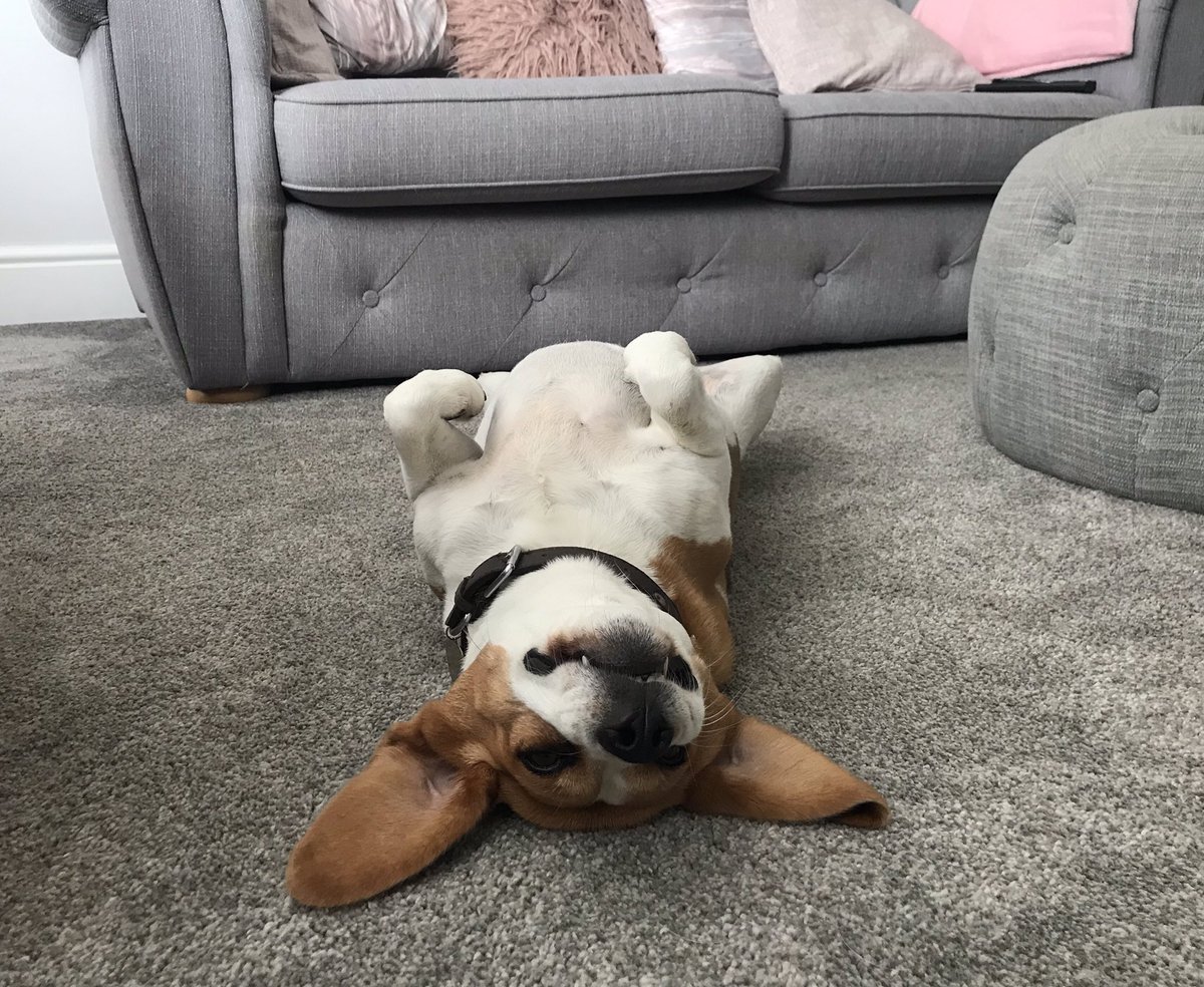 Today was my last at Holy Family. It’s been a pleasure to teach some incredible students and work alongside brilliant colleagues for the past 3 years. Thank you for the cards...... time to kick back &amp; relax for a few weeks. Best wishes to everyone connected with Holy Family 👏👏