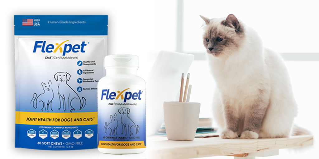 Pets love the taste of Flexpet soft chews and pet owners love to see their cats and dogs with healthy joints again.
Improve the quality of your pet’s life now.
Shop at flexpet.com