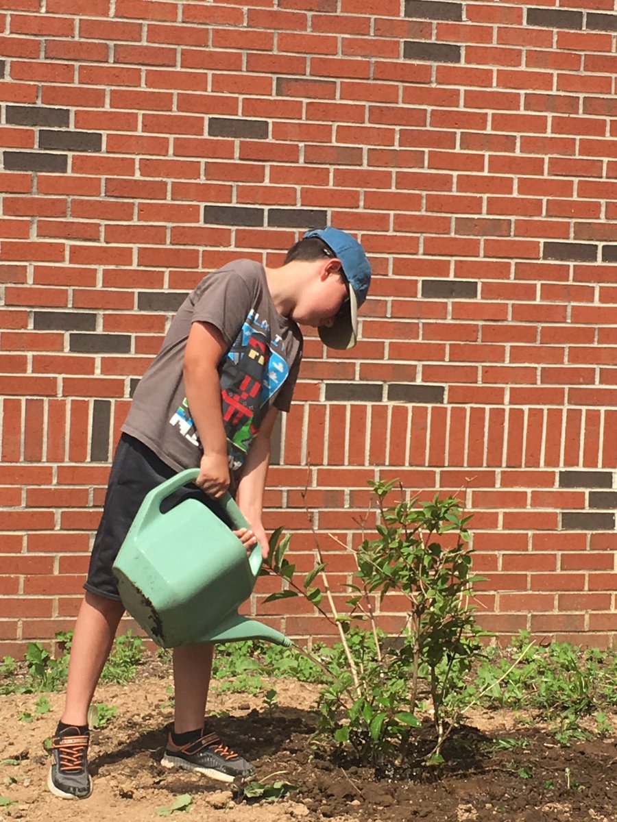 MrsMurr101's tweet photo. UTMS garden is planted! Thank you to Mr. Golden, Hailey, Tyler, and Ms. Spann for all your hard work this morning in the heat. The garden is going to be amazing! #TheU #TigerPride https://t.co/nJblPjuuMZ
