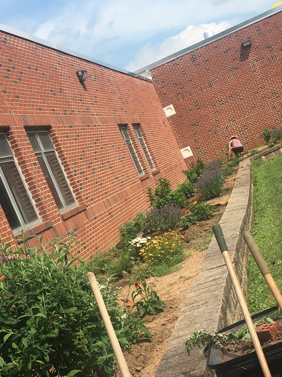 MrsMurr101's tweet photo. UTMS garden is planted! Thank you to Mr. Golden, Hailey, Tyler, and Ms. Spann for all your hard work this morning in the heat. The garden is going to be amazing! #TheU #TigerPride https://t.co/nJblPjuuMZ