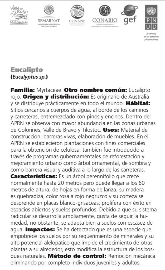 AleJuarezA's tweet photo. No siembren eucaliptos.
No siembren eucaliptos.
No siembren eucaliptos.
No siembren eucaliptos.
No siembren eucaliptos.
No siembren eucaliptos.
No siembren eucaliptos.
Es perjudicial para México.
Siembren #Árboles endémicos.
#Eucalipto
#Eucaliptos
#SiembraUnÁrbol y cuídalo.
👇🏼 https://t.co/EXxV1FoIcX