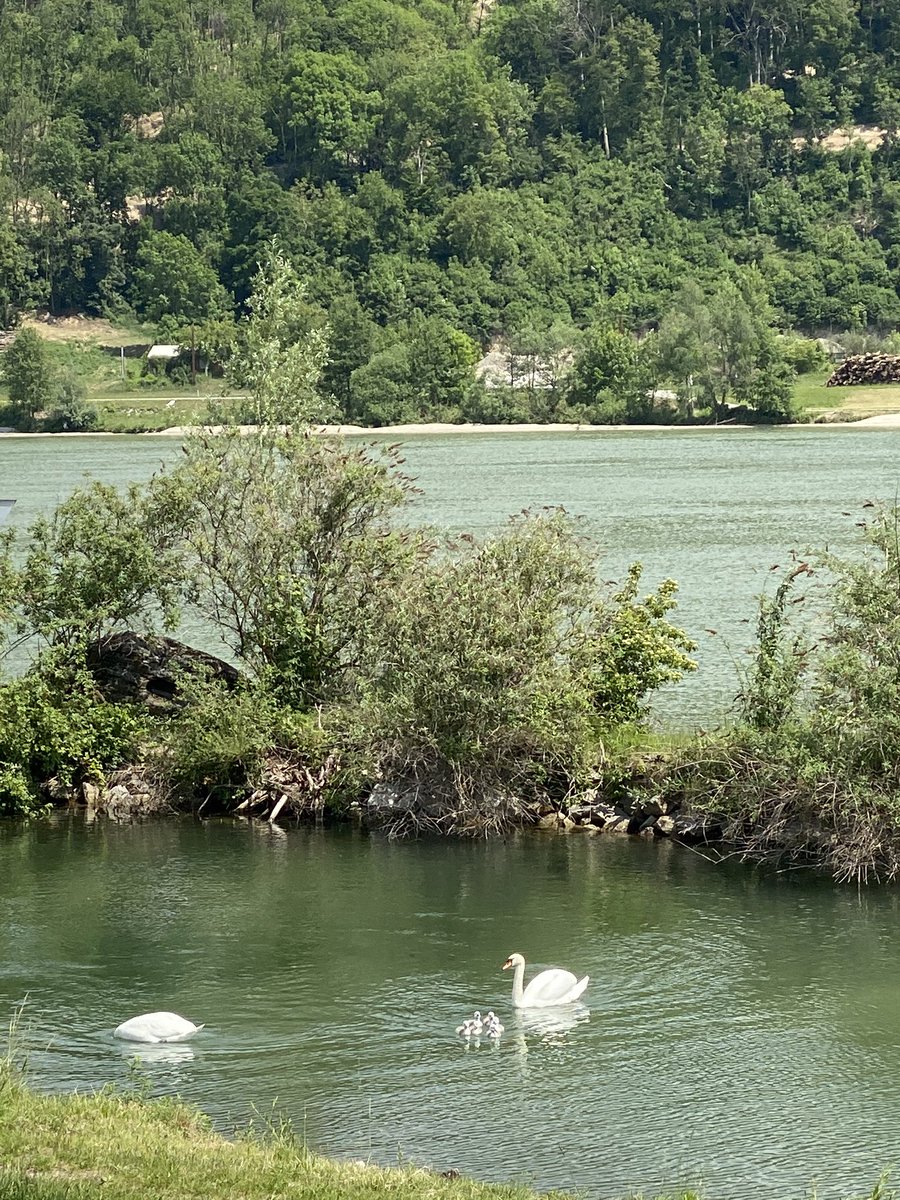 GRUBMA's tweet photo. Idylle in LINZ an der Donau https://t.co/wQjqj9i5FY