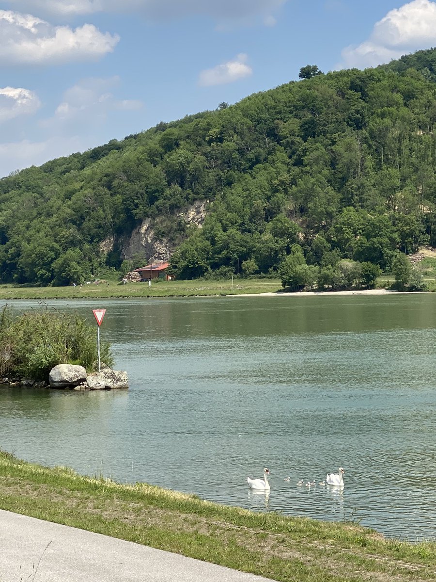 GRUBMA's tweet photo. Idylle in LINZ an der Donau https://t.co/wQjqj9i5FY