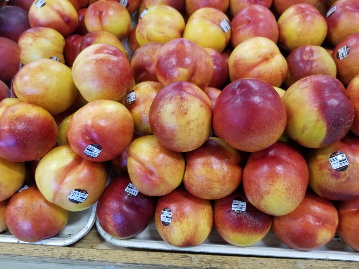 GalatiMarket's tweet photo. Do you like #Nectarines or #Peaches best?
#TreeRipe peaches, nectarines and #whitepeaches available at Galati Market #Fresh! https://t.co/CfHrQMVWte