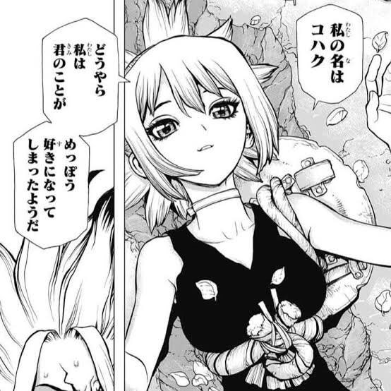 ドクターストーンのコハクの祖先 先祖は誰 白夜とリリアンなのか考察 情報チャンネル