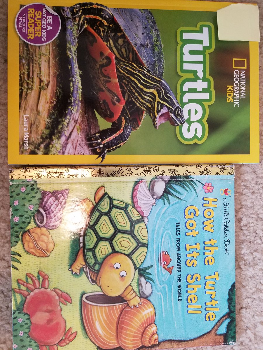 Jennifer Winans tweet media