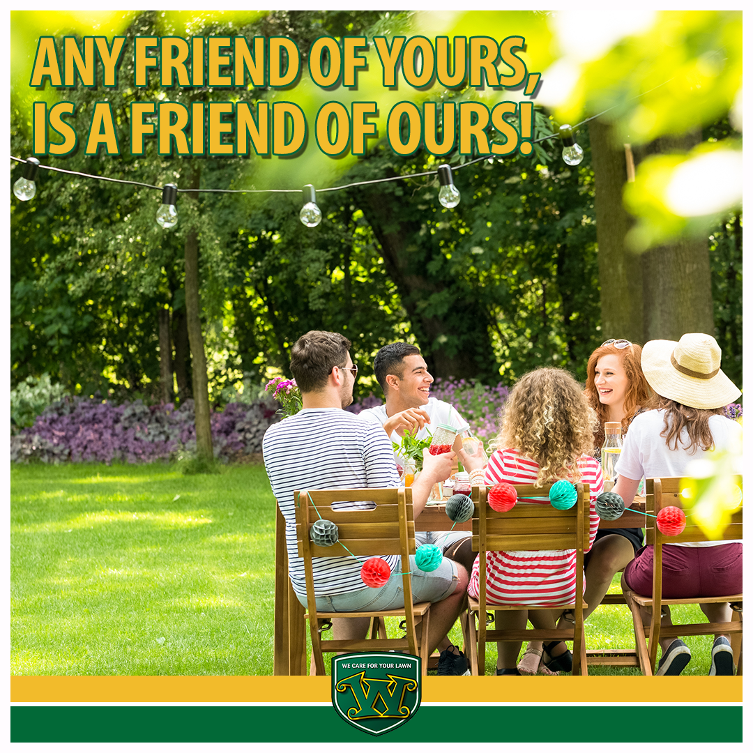 wmarlingtonIL's tweet photo. At Weed Man, any friend of yours is a friend of ours! Take advantage of our local referral program today. It's a win-win! Learn more at https://t.co/OpIMD0aP2f. #lawncare #wecareforyourlawn https://t.co/xWZLoxbi6X