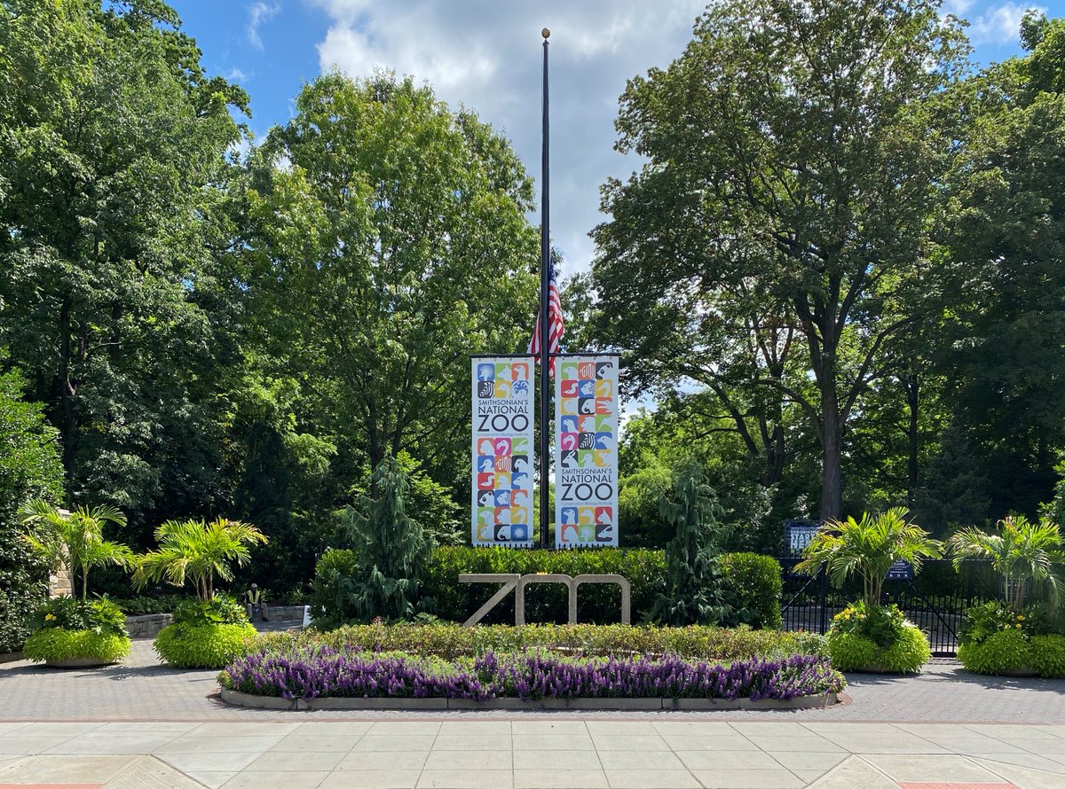 National Zoo (@nationalzoo) on Twitter photo The <a href="/NationalZoo/">National Zoo</a> & <a href="/airandspace/">National Air and Space Museum</a> Steven F. Udvar-Hazy Center reopen on Friday, July 24! 🦁 🐘 🐼 Roar, trumpet, honk, bleat and chirp the news! We look forward to welcoming you back! Learn more about our new safety measures: s.si.edu/32BJLRJ <a href="/smithsonian/">Smithsonian</a> The <a href="/NationalZoo/">National Zoo</a> & <a href="/airandspace/">National Air and Space Museum</a> Steven F. Udvar-Hazy Center reopen on Friday, July 24! 🦁 🐘 🐼 Roar, trumpet, honk, bleat and chirp the news! We look forward to welcoming you back! Learn more about our new safety measures: s.si.edu/32BJLRJ <a href="/smithsonian/">Smithsonian</a>