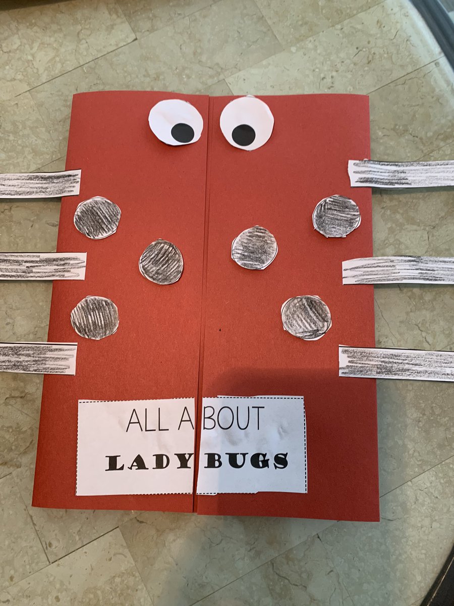MissusAviles's tweet photo. Kicking off our insect unit with a ladybug book! #bunkhouse7 #cfisdspirit @Nicole_L_Barnes https://t.co/mVUc7lIlW0