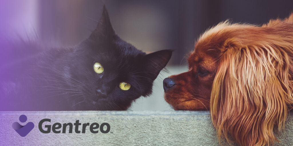 Protect your #Pets like family, especially during these uncertain times.

Create a Pet Power of Attorney today online. It's simple, secure and affordable.

Visit: gentreo.com/pet-power-of-a… for more information.