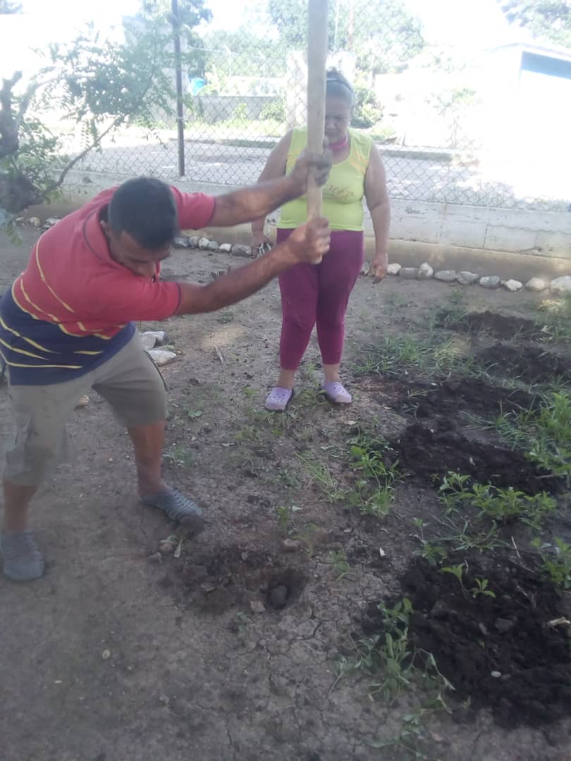 CLAP_PradosN1's tweet photo. Continuamos con la siembra en los espacios de la casa de los abuelos, de la mano de representantes de CLAP producción de prados del Norte 1. El cuji Barqto Edo Lara. @gestionperfecta @NicolasMaduro https://t.co/jHirsh4SXf
