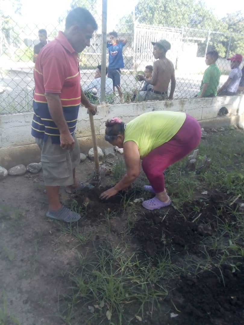 CLAP_PradosN1's tweet photo. Continuamos con la siembra en los espacios de la casa de los abuelos, de la mano de representantes de CLAP producción de prados del Norte 1. El cuji Barqto Edo Lara. @gestionperfecta @NicolasMaduro https://t.co/jHirsh4SXf