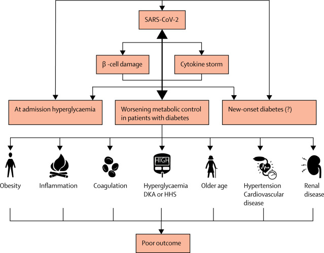 c19ai's tweet image. The reasons for worse #COVID19 outcomes in people with #diabetes also management requires a much-integrated team approach. @TheLancet 
thelancet.com/journals/landi…