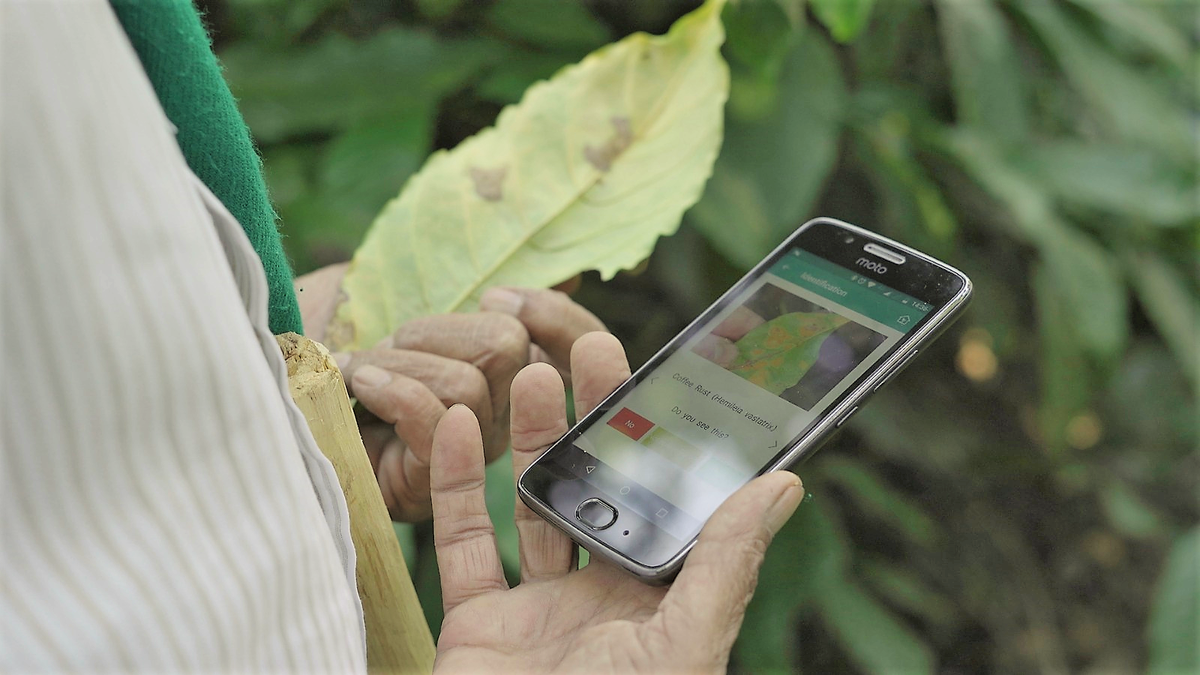 RnfrstAlliance's tweet photo. #Coffee farming in #India just got smarter with the launch of our new #AgTech app—My Crop Care—co-created by farmers for farmers!

🍃 Picture-based disease identification 
🐛 Pest management tips
🌿 Fertilizer calculator 
🌱 Yield estimation tool
📅 Tailored day-to-day advice https://t.co/L4S686OOV0
