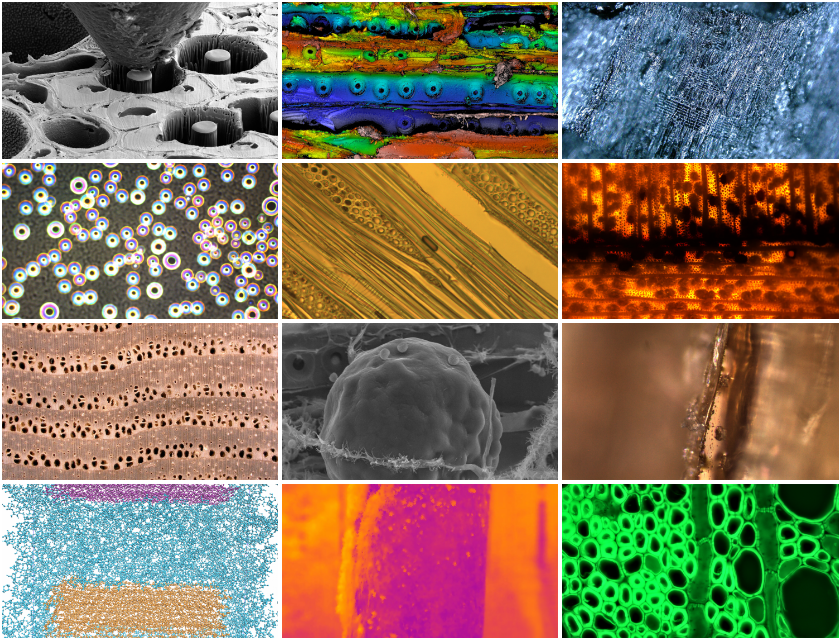 InnoRenewCoE's tweet photo. Vote for your favorite photo! 

▶️https://t.co/cpgKeRAJcV

#InnoRenew #art #science https://t.co/O7VfTCAK1L