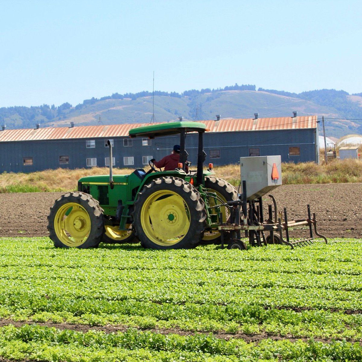 svf_farms's tweet photo. Happy Monday lets make this a great week 🚜! 

#mondaymotivation #tractor #agriculture #veggies #cilantro #parsley #watsonville #santacruz #mondayvibes #blessed #beautiful #photography https://t.co/ikYSGrhPnR