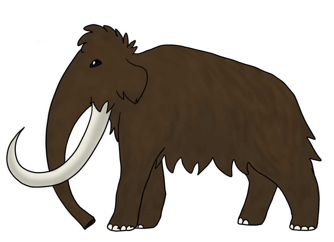 mattyena's tweet photo. This #xatw is the woolly mammoth! Probably the most famous Pleistocene (The Last Ice Age) animal. Come join this thread to learn more about the woolly mammoth! https://t.co/B2dHoNclPf