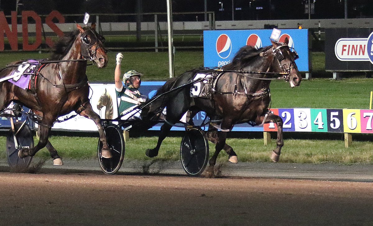 TheMeadowlands's tweet photo. Tall Dark Stranger and Yannick Gingras captured the 2020 edition of the Meadowlands Pace for Nancy Takter and connections in 1:47.2! #playbigm #paceyourself20 #harnessracing https://t.co/POTt5O0SP0