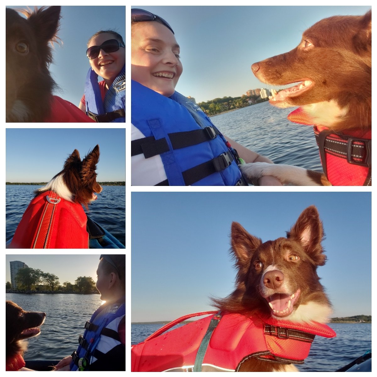AgilitywAmanda's tweet photo. Winnie had a wonderful 1st time on the kayak 😊😁
#kayaking #kayakingadventures #kayakingdog #dogkayaking #dogadventures #dogslife #reddog #bordercollie #bordercollieadventures #bordercollielife #dogfun #dogphotos https://t.co/abnD8rM6Vf