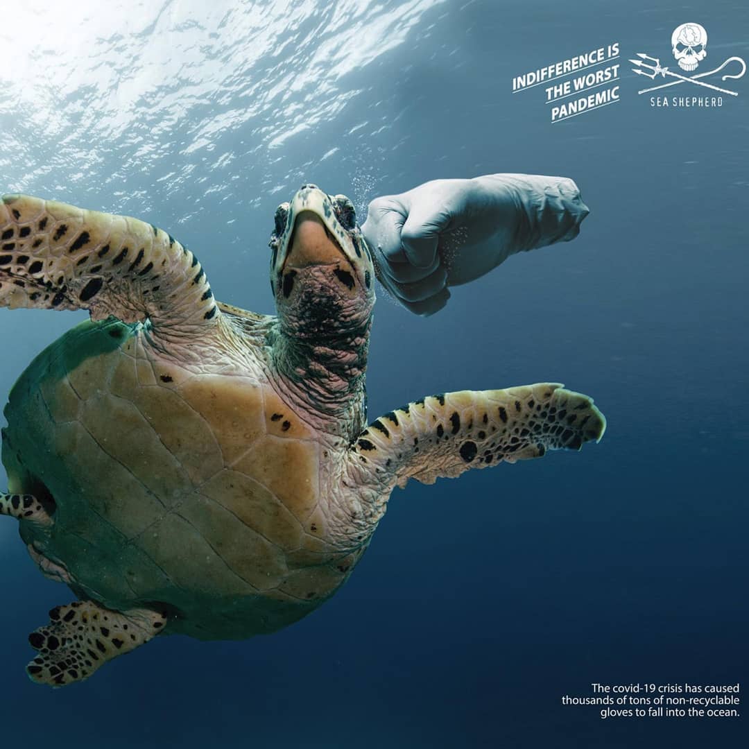 adaddictive's tweet photo. Killer Glove!

Go to https://t.co/Pt7G3aefPj for more ads

Follow us on @adaddictive
#adaddictive
#advertizing
#advertorial
#adverts
#advertsquare
#brandads
#brandadvert
#brandadvertisement
#cleanocean
#coronavirus
#covid19
#keepouroceansclean
#lifeunderwater
#marinepollution https://t.co/TWUqqZMd8k