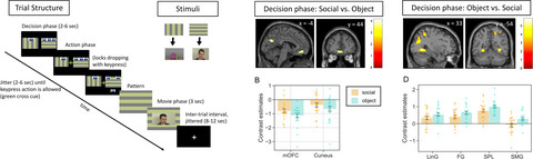 OUT NOW #OPENACCESS Distinct neural correlates of social and object seeking motivation using the 'Choose-a-Movie-CAM' task. #socialmotivation #fMRI #reward #decisionmaking by @indu_dubey @culture_ada @daniropar @antoniahamilton onlinelibrary.wiley.com/doi/10.1111/ej…