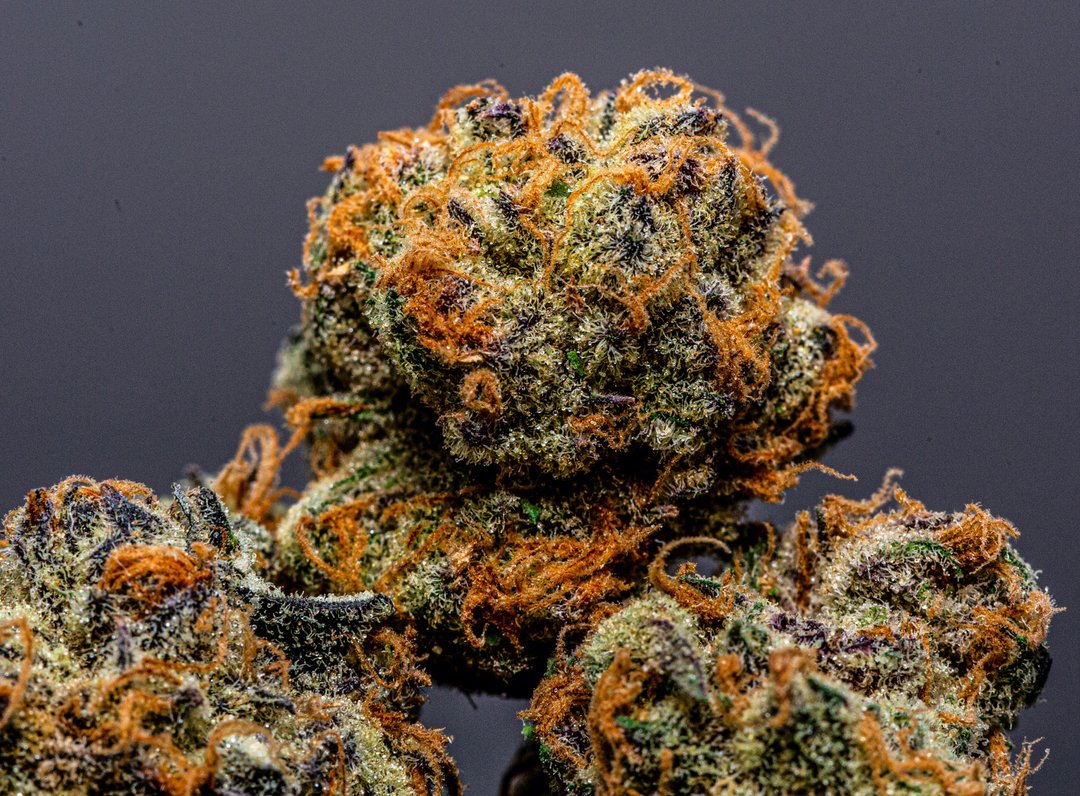 CannalineM's tweet photo. Let's talk about flower! What is your favorite strain currently?! https://t.co/0QLIxfxEXQ