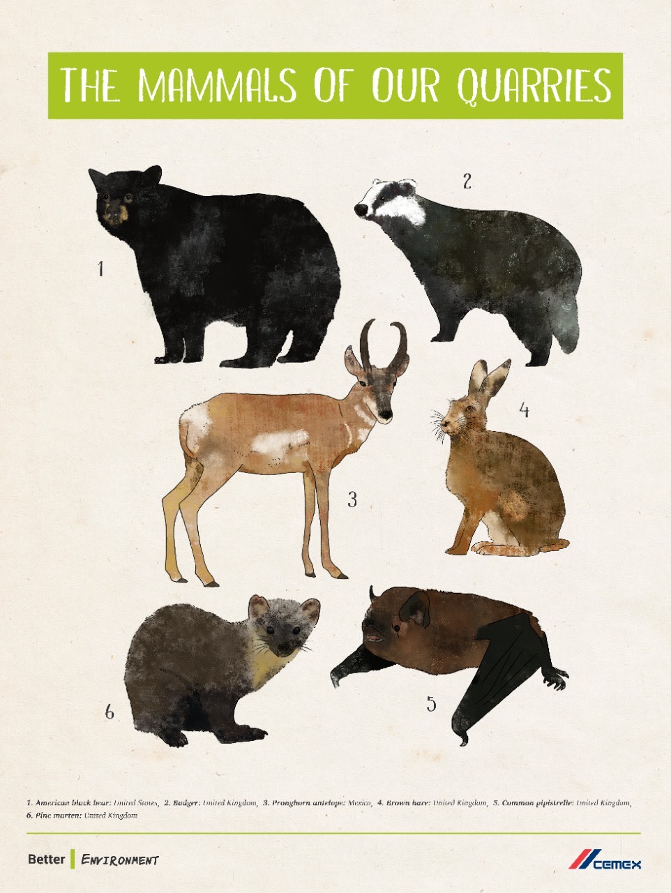 CEMEX Global on Twitter "Our quarries are home to a great variety of