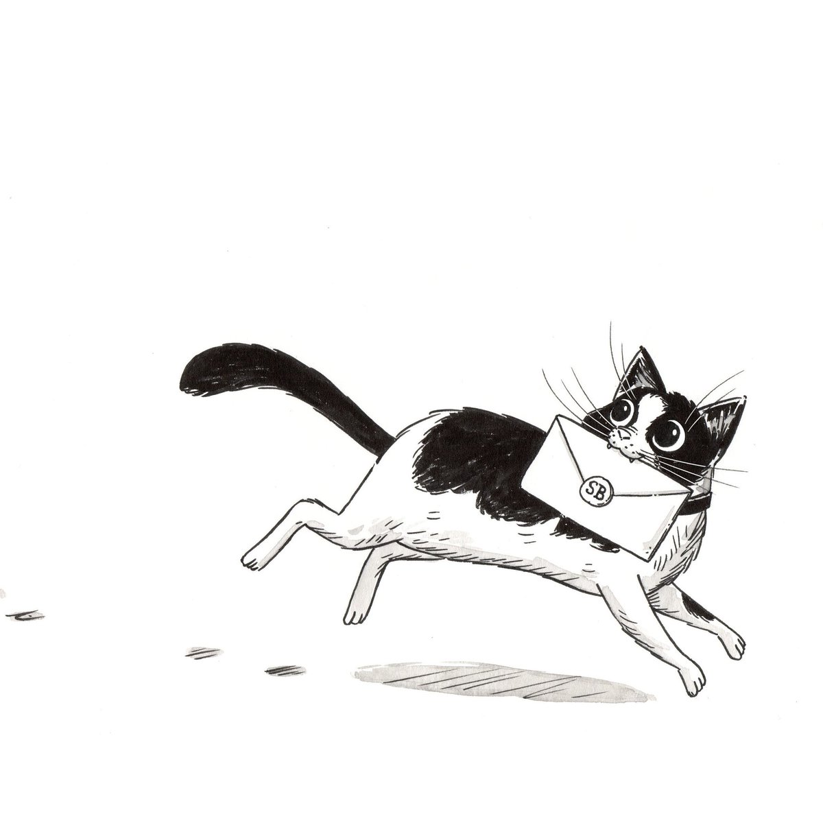 bbillustrator's tweet photo. Cat Ink Art 😺
#cat #illustration #catart #characterart #inktober https://t.co/cWSW4MSxxk