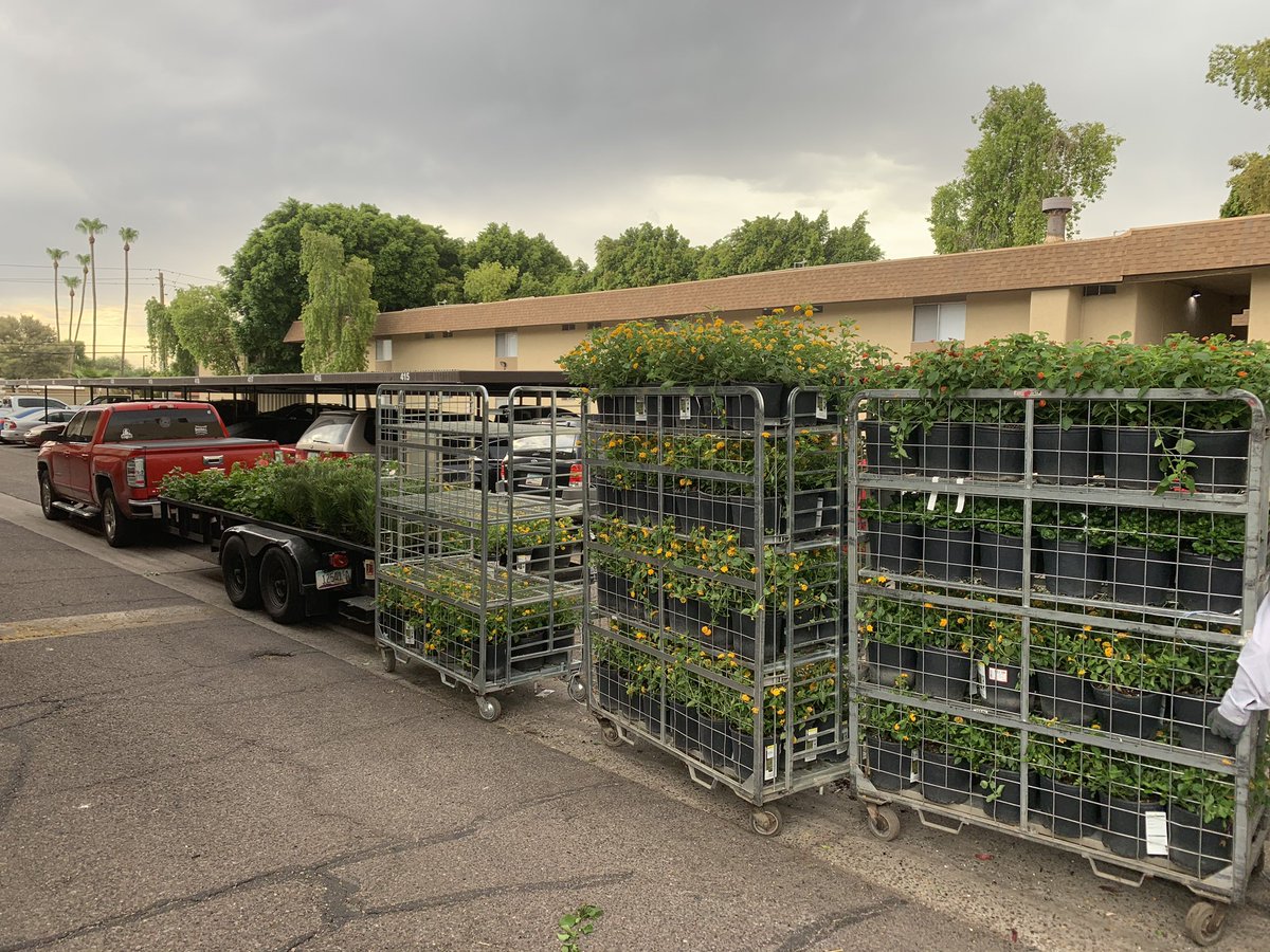 ClintonJLester's tweet image. Good Morning!  This is how 464 does Mon morning. 💪🏻First of 4 direct ship orders for our Pro cusotmer.  Thx again to Dave Hanson in Garden. @aprilsimonhd @KellyTHDPMD @CharlieWaller17 @jacki_mccord #D130Driven #464hearusroar