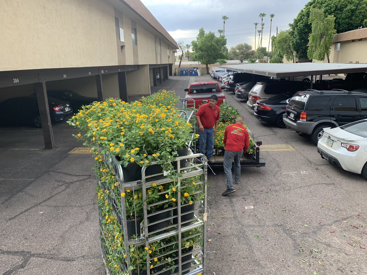 ClintonJLester's tweet image. Good Morning!  This is how 464 does Mon morning. 💪🏻First of 4 direct ship orders for our Pro cusotmer.  Thx again to Dave Hanson in Garden. @aprilsimonhd @KellyTHDPMD @CharlieWaller17 @jacki_mccord #D130Driven #464hearusroar