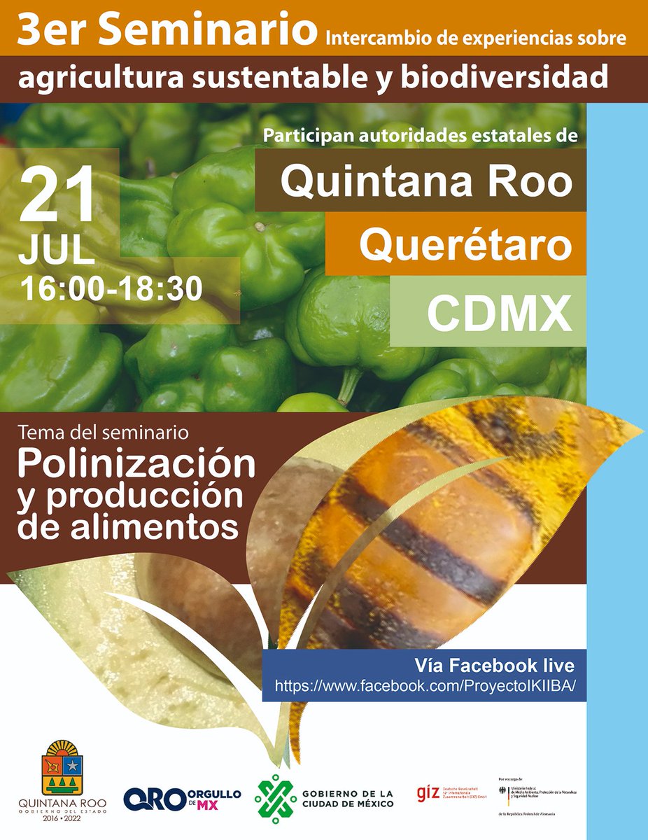 iki_iba's tweet photo. Les recordamos, MAÑANA! El Tercer Seminario de Intercambio de Experiencias de Autoridades Estatales sobre Agricultura Sustentable y Biodiversidad, en esta ocasión hablaremos de polinizadores, con los estados de Quintana Roo, Querétaro y CDMX. Los esperamos! 😉🌿🦋#ProyectoIKIIBA https://t.co/9AiDXv8B9g