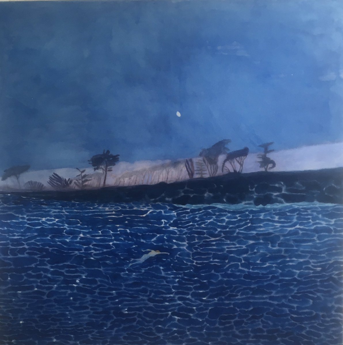 HelenNapper's tweet photo. Waxing Moon #sea#sea-swimming #moon https://t.co/YkLsZjArSK