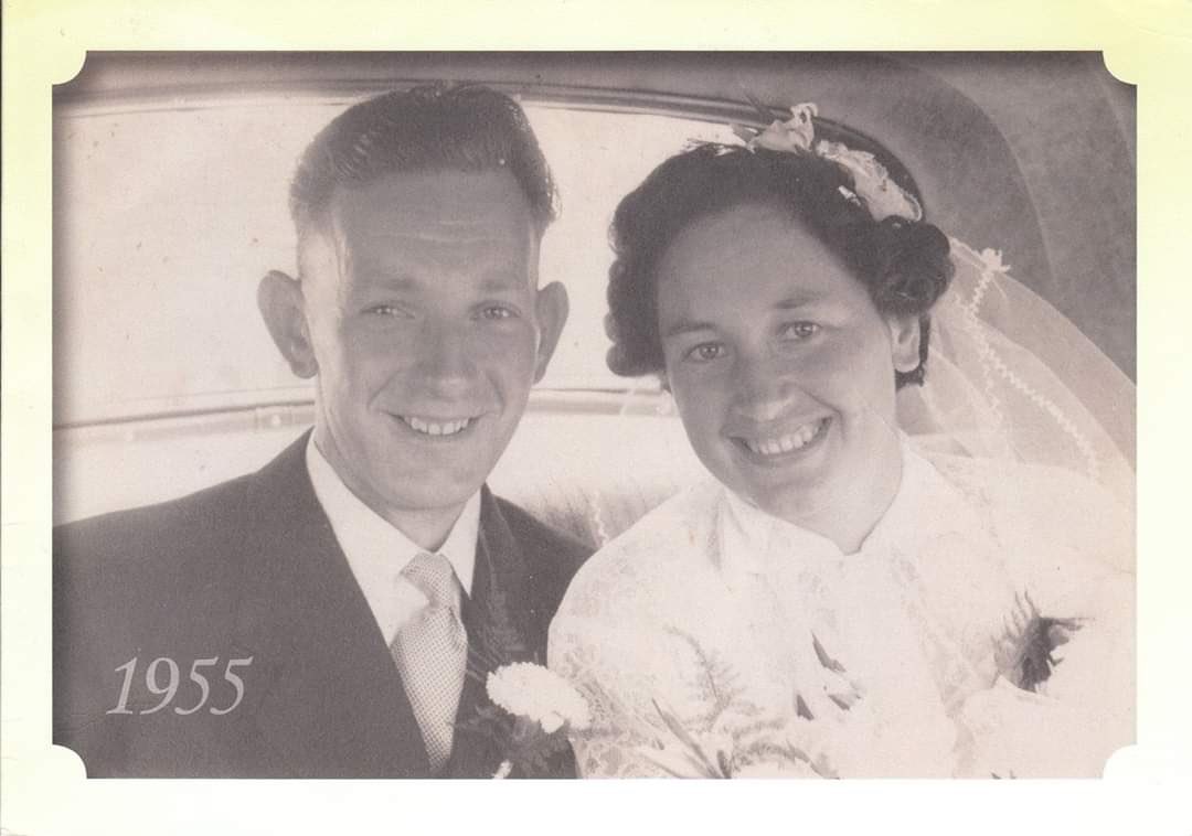 Alita van Keulen-Roelofs tweet media