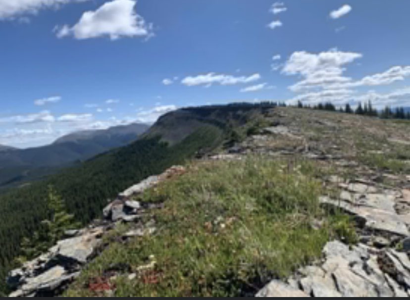 MrsKeay's tweet photo. I spent the weekend at the lake while my niece went hiking. I think she had the better view... I should have went hiking instead of all the βworkβ that a permanent lake lot brings. #ineedsomehikingtherapy #mountaingirl #canadianrockies #cardinaldivide or #lesserslavelake https://t.co/KWnJkpvkPy