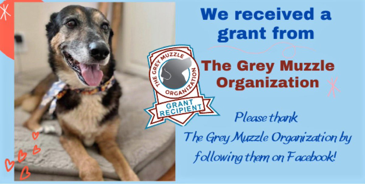 Two by Two Rescue (@twobytworescue) on Twitter photo 