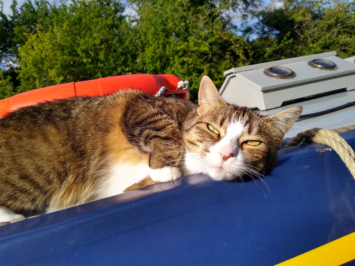 Even had some time this afternoon to make the girls some rings. 

To the neighbouring boats benefit (and Whispers), I haven't yet found the time to learn 'Let it Go' yet...
