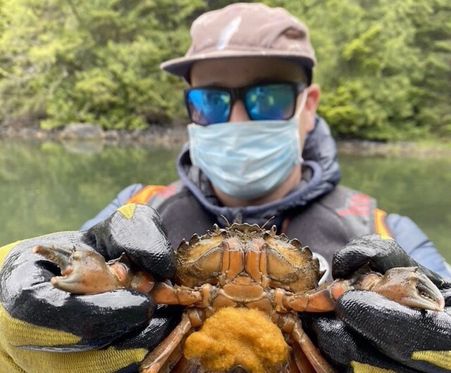 CastanetKam's tweet photo. Intruder gobbles key species in Island waters https://t.co/0h42NDnIuw https://t.co/JSCdiqvuA6