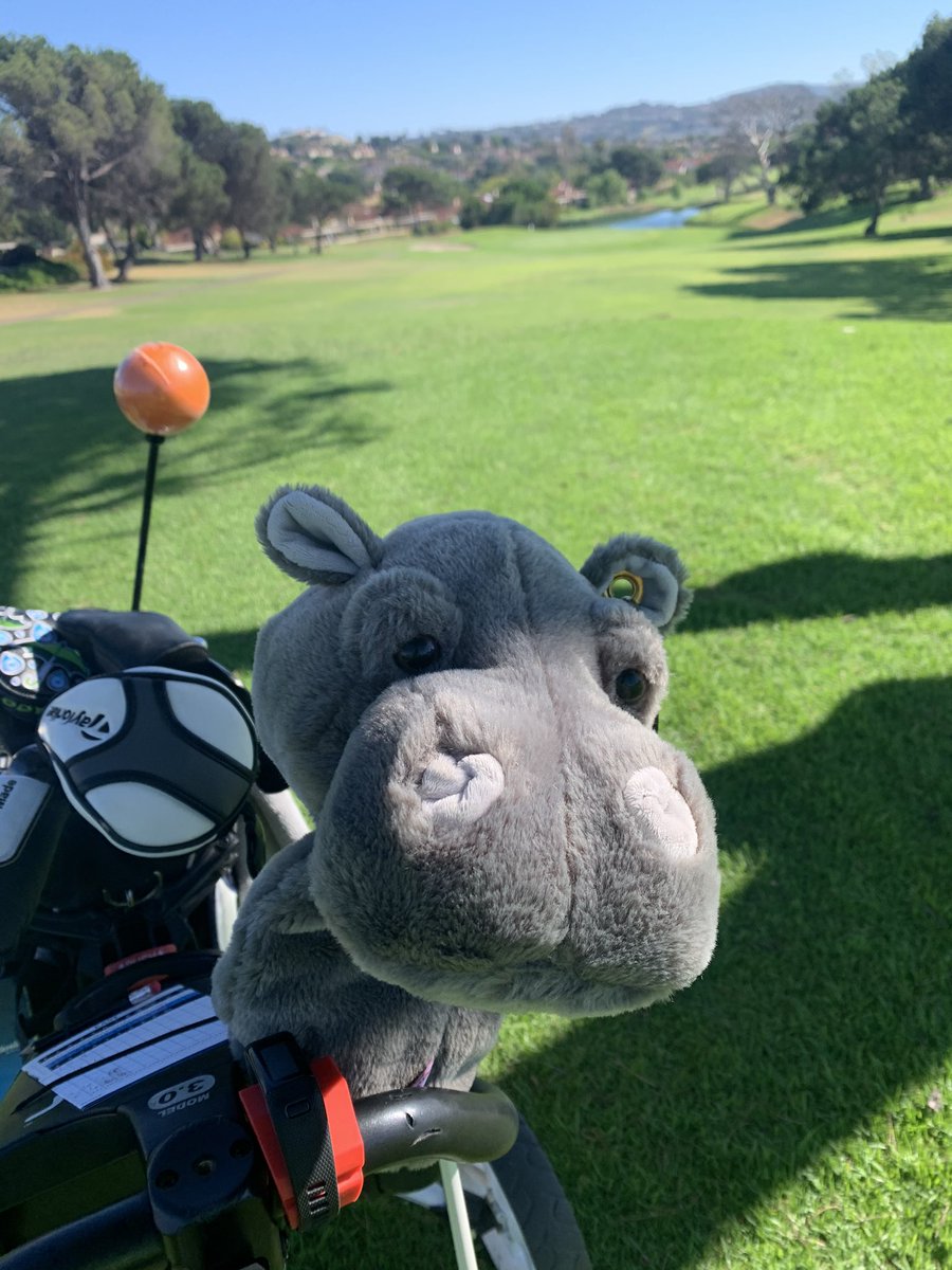 C.J. Arnold tweet media