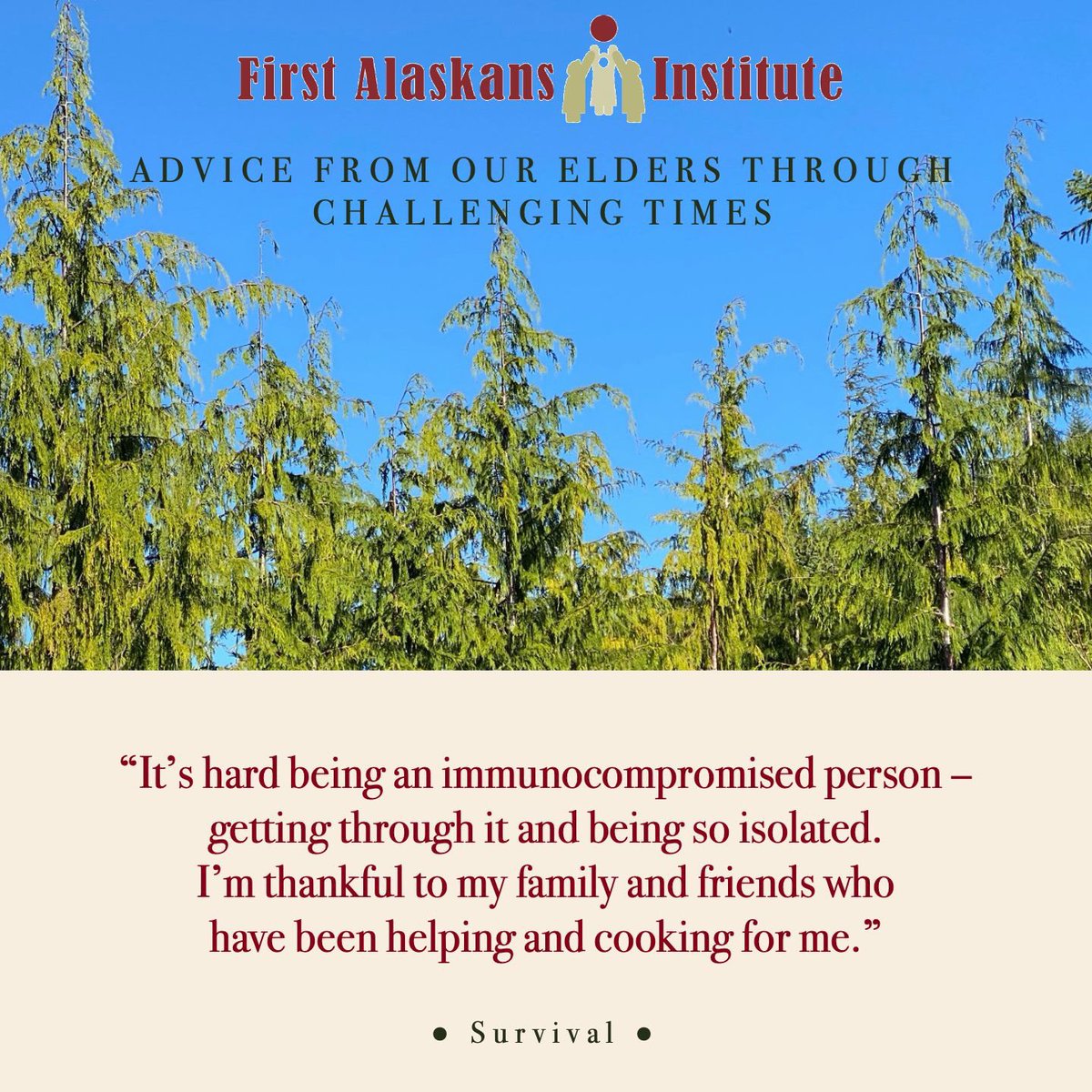 firstalaskans's tweet photo. We have connected with Elders to make sure they are feeling healthy and strong and have all they need. We are sharing some of their rich wisdom and teachings to help us navigate through this time. #BeingGoodRelatives #AdvancingOurWaysofLife https://t.co/kVVUxiplxy