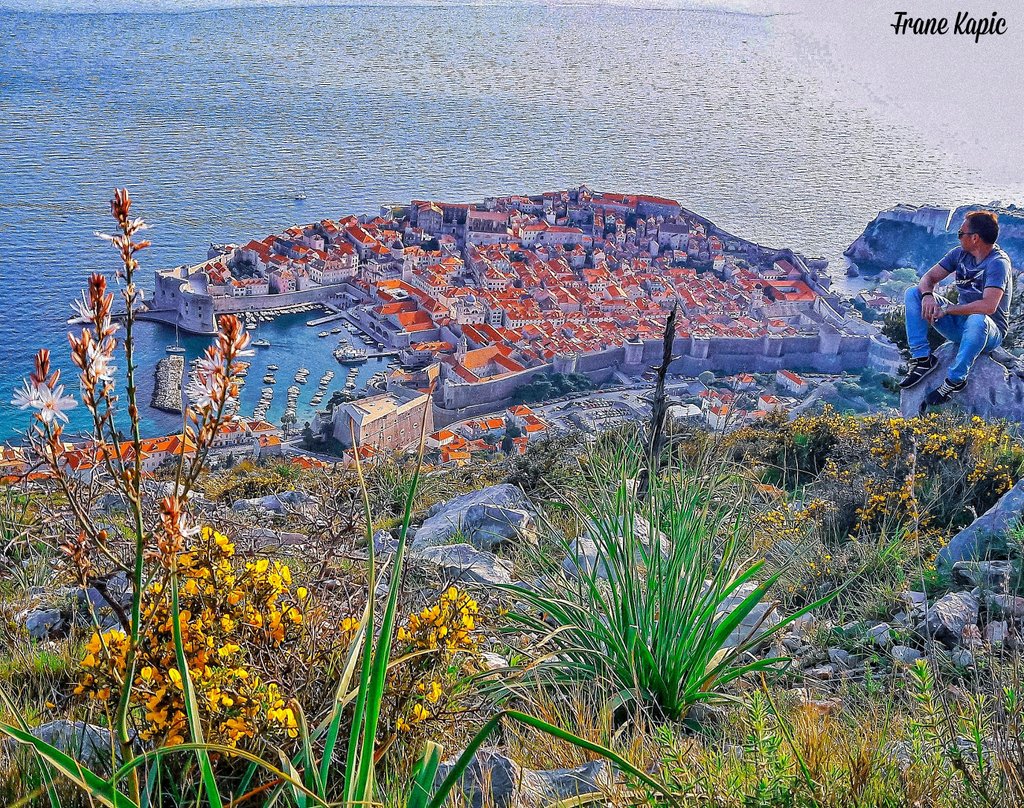 galeb_i_ja tweet media