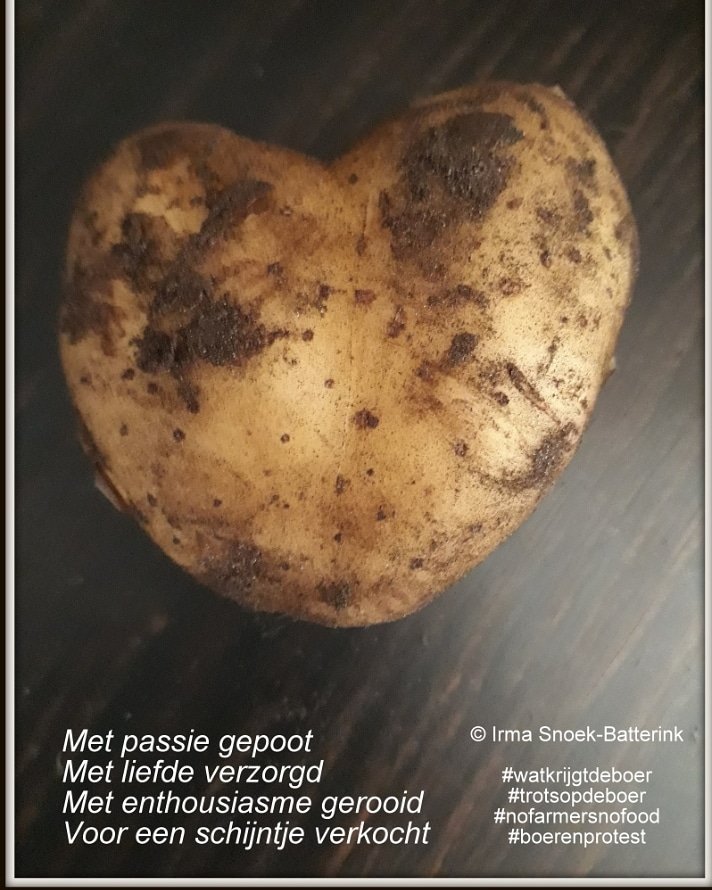 Irma Snoekbloembollen (@irmasnoek2018) on Twitter photo 